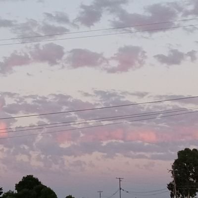 tim1866's profile picture. 