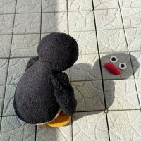 敏锐的菜花 (@tom181250) 's Twitter Profile