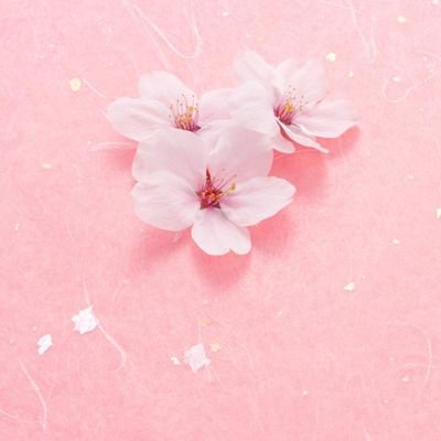 cornflawer's profile picture. 舞台を観るのが大好き。特に殺陣！所作がきれいでスピーディならなおgood
そして　歌が大好き　聴くのも　歌うのも…　歌なしでは生きていけません！