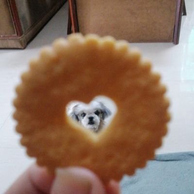 ktotzzx's profile picture. BELIEVING for MORE. ✨🌷