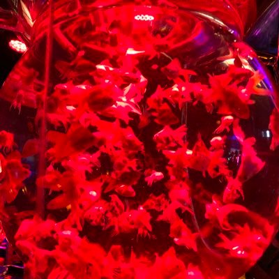 kmjs6969's profile picture. 