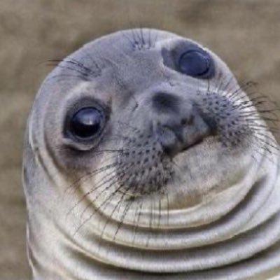 Rgbpp_zoo's profile picture. RGB++ FOR LOVE.