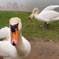 ArturF (@arturf67) 's Twitter Profile