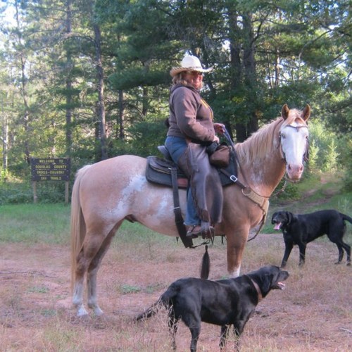 ClKappes's profile picture. I love my life with my husband, horses, and dogs. Life is good!