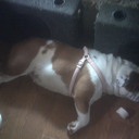 Jamie Leclerc - @JamieLynnThib - Twitter