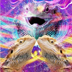 SlopBucketBass's profile picture. Bass