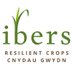 IBERS - Aber (@ibers_aber) Twitter profile photo IBERS - Aber (@ibers_aber) Twitter profile photo