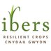 IBERS - Aber (@ibers_aber) Twitter profile photo