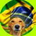 Memes Do Twitteer (@memesdotwitteer) Twitter profile photo Memes Do Twitteer (@memesdotwitteer) Twitter profile photo