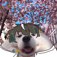 🐍Queeckort奎爾科特✨ (@queeckort) 's Twitter Profile