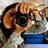 gabycaballero6's profile image