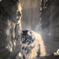 Ser Pounce (@serpounce____) 's Twitter Profile