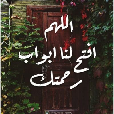 تابعني اتابعك ==تحذف اربعه وعشرين ساعه احذف متابعتي