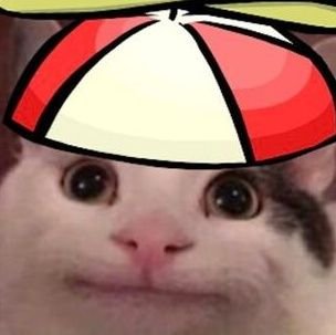 YaZhang550453's profile picture. 