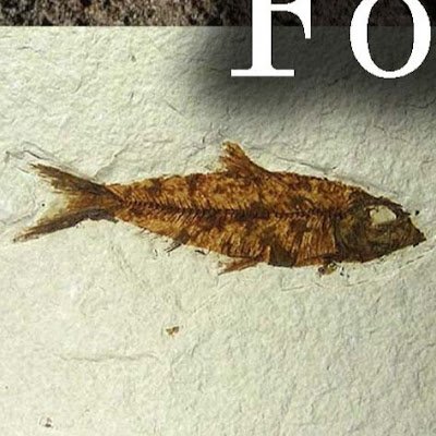 Kwenzeka071's profile picture. 