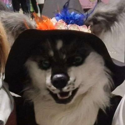 StarfleetWitch's profile picture.
