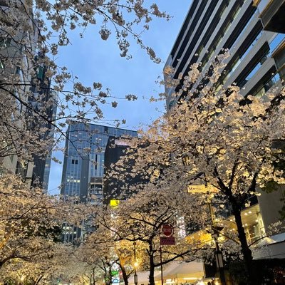 SAP__3000's profile picture. 