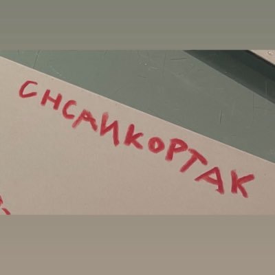 KPsohlavcova's profile picture. 