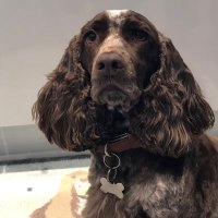 RosieandJane (@janecla63907166) 's Twitter Profile