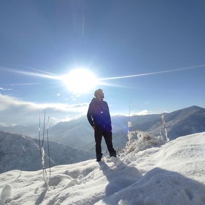 ChatraDC's profile picture. 