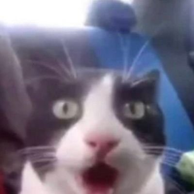 ajiw50's profile picture. kesenangan milik pribadi, tapi klo sama kamu  senang nya jadi milik berdua.