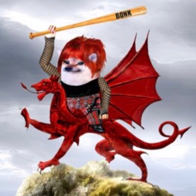 Bonking makes me feel good. enemy of vatniks , 🏴welsh dragon, NAFO .100% Pro Ukraine 🇺🇦 Main Bas@@rd No vatniks Tankies or MAGA . russomisic