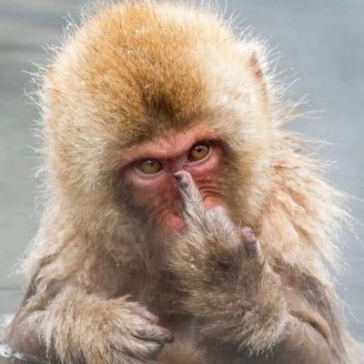 Diesel_dawg03's profile picture. 