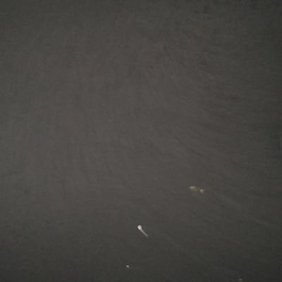 DU8Qdosfhf5972's profile picture. 