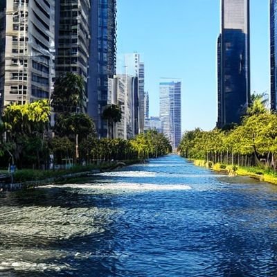 Makessense91's profile picture. You cannot imagine🦁