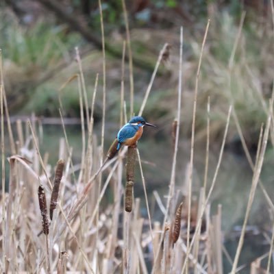 runner and amateur birder with a passion for photography