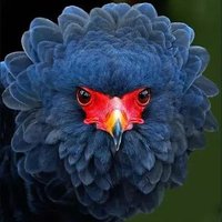 carlos pueyo (@carlospueyo7) 's Twitter Profile