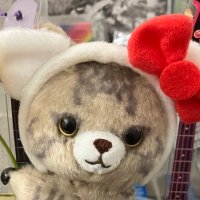 みゃー (@nyanichigomelon) 's Twitter Profile