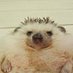 JD (@haruspexut) Twitter profile photo JD (@haruspexut) Twitter profile photo