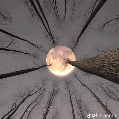 IqaNazneen72698's profile picture. just call me Bulan🌙