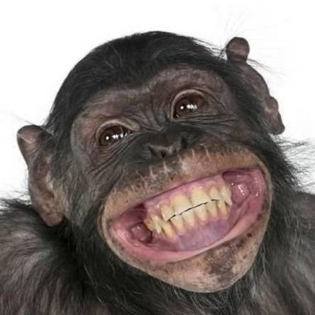 ethandolantl's profile picture. just trying to help. dm me