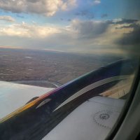 Sara Dungavell (@psychonerrantry) 's Twitter Profile Photo