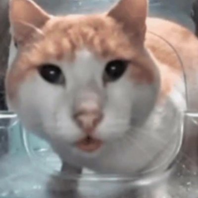 Manjuanacho's profile picture. helo