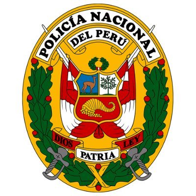 Direccion de Seguridad Integral