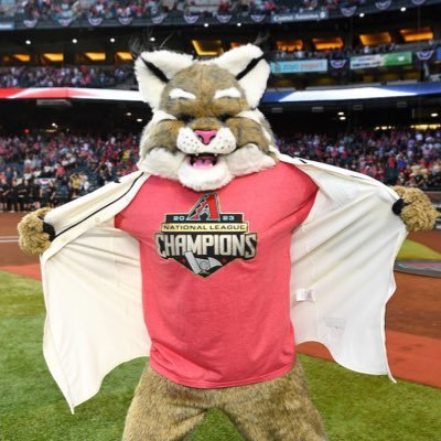 World's ONLY Cotton Candy Scented Bobcat | Rock - Paper - ✂️ Champ | @DbacksBaxter on @Instagram | #LetsGoDbacks