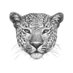 J.N_NTUMBA (@jn__ntumba) Twitter profile photo J.N_NTUMBA (@jn__ntumba) Twitter profile photo