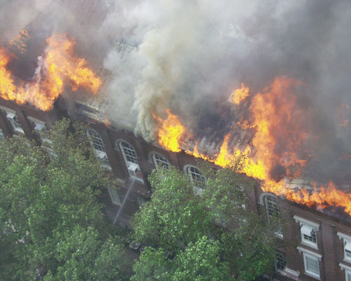 pbear324's profile picture. 