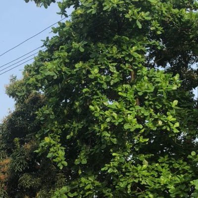 idkyou4629802's profile picture. 