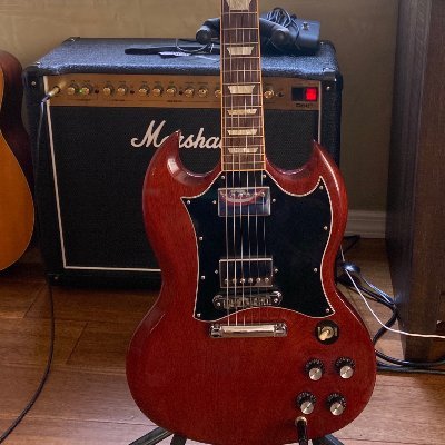 _GuitarCat_ Profile Picture