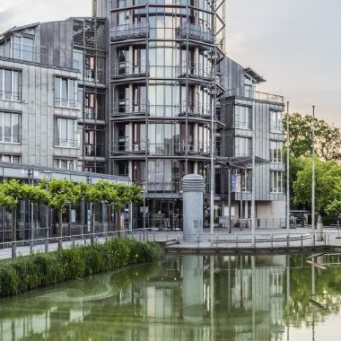 tobiworld's profile picture. #noAfD