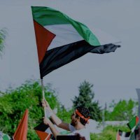 avin (@aa_abbasii) 's Twitter Profile