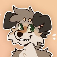 Shadow (@shadow6570) 's Twitter Profile