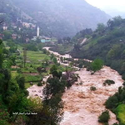 pheno1995meno's profile picture. Hi thank you @elunmusk
Elon musk thanks you for the great app