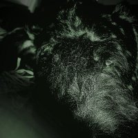 FlyingBasso (@flyingbasso) 's Twitter Profile Photo