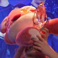 KC Maynter (@maynter_lol) 's Twitter Profile