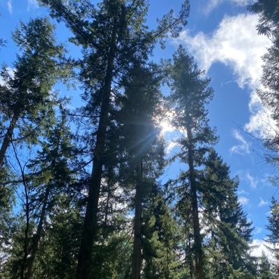 SmNewelly's profile picture. 